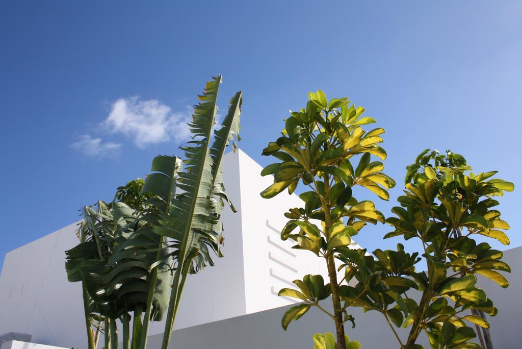פלאיה בלנקה Villas De La Marina מראה חיצוני תמונה